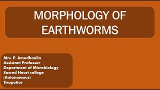 MORPHOLOGYMORPHOLOGY OF EARTHWORMVERMITECHNOLOGYEARTHWORM [upl. by Kampmeier]