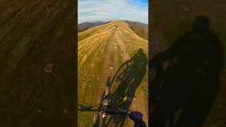 No brakes allowed mtb downhill freeride mountainbike freeridemtb downhillmountainbike [upl. by Ainollopa]