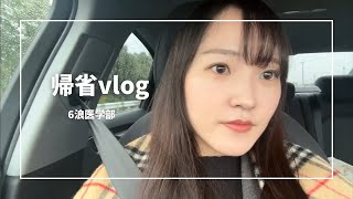 6浪医学部女 実家帰省vlog [upl. by Assiram]