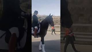 Primer Video Suelto Tres Tombs Terrassa 18022024 [upl. by Asset8]