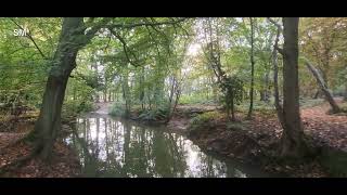 Coombe Abbey Country Park Coventry England [upl. by Cornwell]