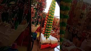 Gaddha colony ke market mein milta Diwali ka jhalar [upl. by Eimaj]