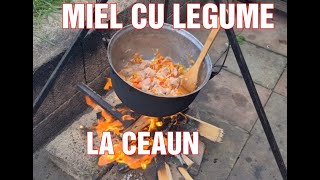 MIEL CU LEGUME LA CEAUN [upl. by Landmeier]