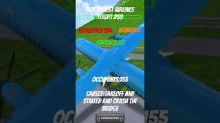 Northwest airlines flight 255 crash animation [upl. by Chuch]