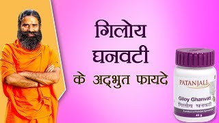 गिलोय घनवटी Giloy Vati के अद्भुत फायदे  Swami Ramdev [upl. by Akired664]