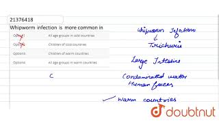 Whipworm infection is more common in [upl. by Ludovico]