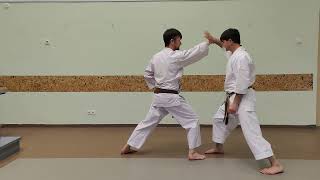 Bassai Dai kata effective bunkai 2 full kata [upl. by Eetnod18]