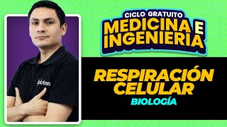 BIOLOGÍA  Preguntas frecuentes Respiración celular [upl. by Pris]