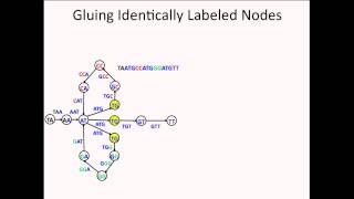 String Reconstruction as an Eulerian Path Problem [upl. by Platus]