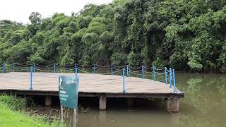 Tranquilidade do Jardim Botânico em Goiania  GO shorts [upl. by Nylasej]