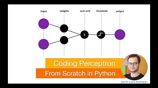 Perceptron From Scratch in Python [upl. by High181]