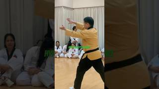 Emphasizing poomsae 6 proper blocks learning training taekwondo shorts [upl. by Suollecram]