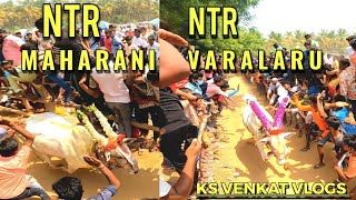 NTR MAHARANI AND NTR VARALARU  KS VENKAT VLOGS [upl. by Eelirak705]