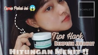 Review Herbalism Mugwort Mask Scarlett Selama 1 Bulan 🍃✨ [upl. by Terces]