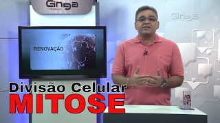 Biologia  Divisão Celular  Mitose [upl. by Atnuahsal]