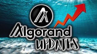 What Does ALGORAND ALGO Look LIke After SEC ETF Announcement Algorand ALGO Price Analysis [upl. by Lessig847]