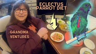 Eclectus Parrot Diet How To Feed Eclectus Parrots [upl. by Hafeetal]