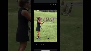 Kangaroos Have Mastered The Art Of Golf [upl. by Nunnery358]