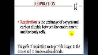 Respiratory Physiology  Introductory Class [upl. by Verene]