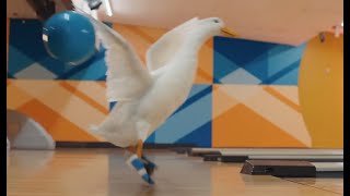 Aflac Commercial 2024 Bowling Ad Review [upl. by Ruben153]