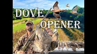 The best field cant fix this  Dove Hunting the NC Opener [upl. by Molahs]