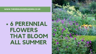 6 perennial flowers that bloom all summer  plus a bonus plant [upl. by Elda]