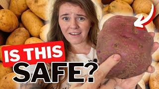 Why Does My Potato Have Scabs How To Prevent Potato Scab On Your Garden Potatoes [upl. by Wattenberg]