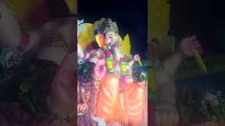 Apne papa ne ganpati hamla  shortvideo viral trending videoavailable video [upl. by Sixla]