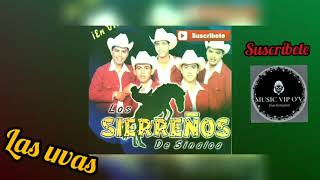 Los sierreños de Sinaloa Mix de corridos [upl. by Oalsecnew]