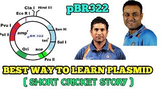 EASY WAY TO LEARN PLASMID AS CLONING VECTOR HINDI   SHORT STORY OF CRICKET [upl. by Yelime]