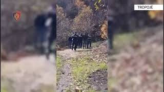 Top Channel Me veshje ushtarake i rrethuar nga policë Momenti kur arrestohet vrasësi 33vjeçar [upl. by Beilul]