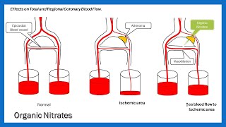 Organic Nitrates  Drug Used in Ischemic Heart Disease Part2 [upl. by Lepp]