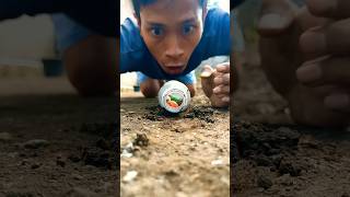 cute hermit crabs part 4  kelomang shortvideo hermitcrab [upl. by Ahsaenat]