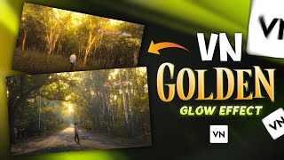 Trending Golden Glow Effect Reels Video Editing In Vn App  Aesthetic Video Glow Effect In Vn App [upl. by Acnayb]