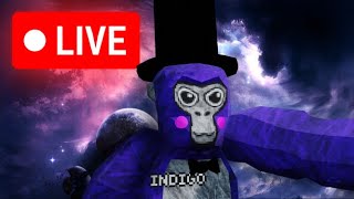 Gorilla Tag LIVE WITH VIEWERS ROAD TO 15K SUBS [upl. by Yobybab]