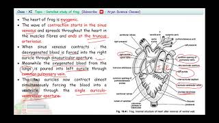 Working of frog heart by AP sir [upl. by Sugirdor274]