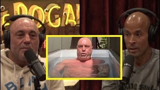 Joe Rogan on Cold Plunges [upl. by Anillehs]