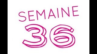 36 semaines de grossesse  38ème semaine d’aménorrhée [upl. by Cilka245]