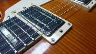 Lollar dB Humbuckers [upl. by Davidson]