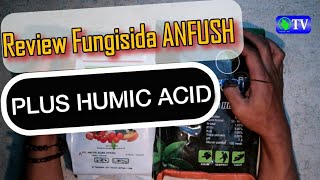 Review Fungisida ANFUSH‼Trichoderma Gliocladium  Humic Acid Pencegah Layu Fusarium [upl. by Olympium393]