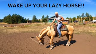 TURN A LAZYDULL HORSE INTO A RESPONSIVE HORSE IN MINUTES [upl. by Ahsied]