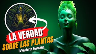 Botánica Oculta Plantas como nunca antes las habías visto [upl. by Nevaed464]