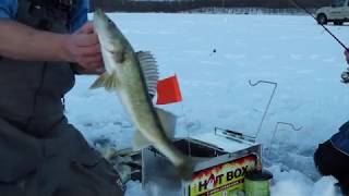 JT Walleye SnareHot Box [upl. by Obed]