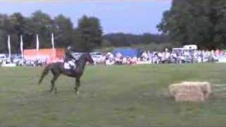 Jumping with a horse over a car on a demonstrationhorseshow [upl. by Tak230]