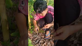 👉💢Survival skills SIMPLE but VERY USEFUL survival shorts bushcraft [upl. by Herta374]