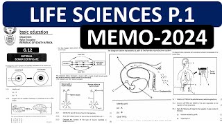 MEMO 2024 LIFE SCIENCES P1 GRADE 12 2024 LIFE SCIENCES GRADE 12 MEMO 2024 NOVEMBERTHUNDEREDUC [upl. by Ettennej]