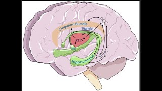 Grey Matter Project Neurodegenerative Disorders 2425 [upl. by Sommer681]