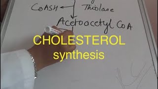 Biochemistry lipid cholesterol synthesisbiochemistry cyclesmetabolism of lipidscholesterol metab [upl. by Skiest]