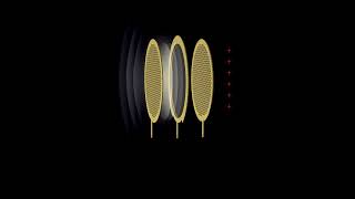 STAX Sound Element Demonstration soundelement stax electrostaticaudioproduct electrostaticsound [upl. by Menken]