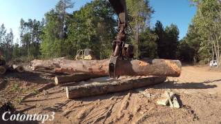 HUGE logs being sawed up with a Rotobec grapple saw [upl. by Isiah558]